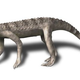 Illustration for article titled Carolina Butcher Was a Massive Croc That Hunted on its Hind Legs